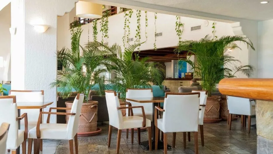 Paphos Gardens Holiday Resort, Kato Pafos, Kipar — fotografija 505