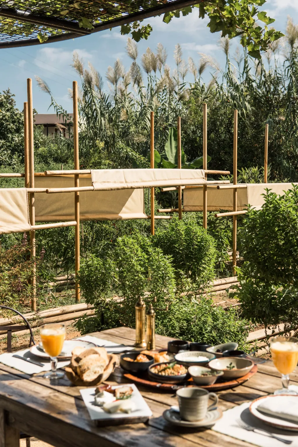 Phaea Cretan Malia, Iraklion, Grčka — fotografija 25