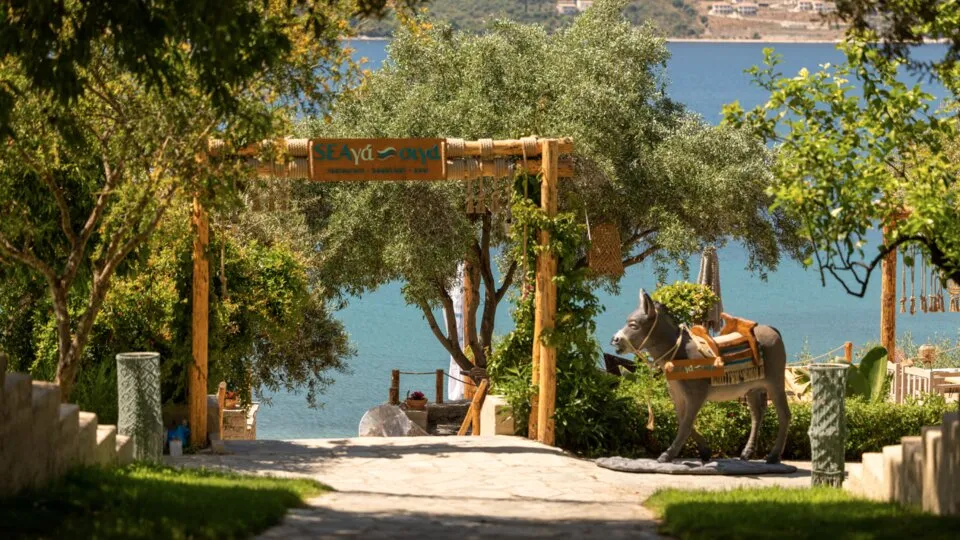 Plataria Seaside Resort, Plataria, Grčka — fotografija 7