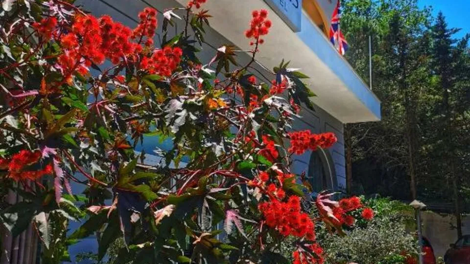 Corfu Hellinis, Kanoni, Grčka — fotografija 5