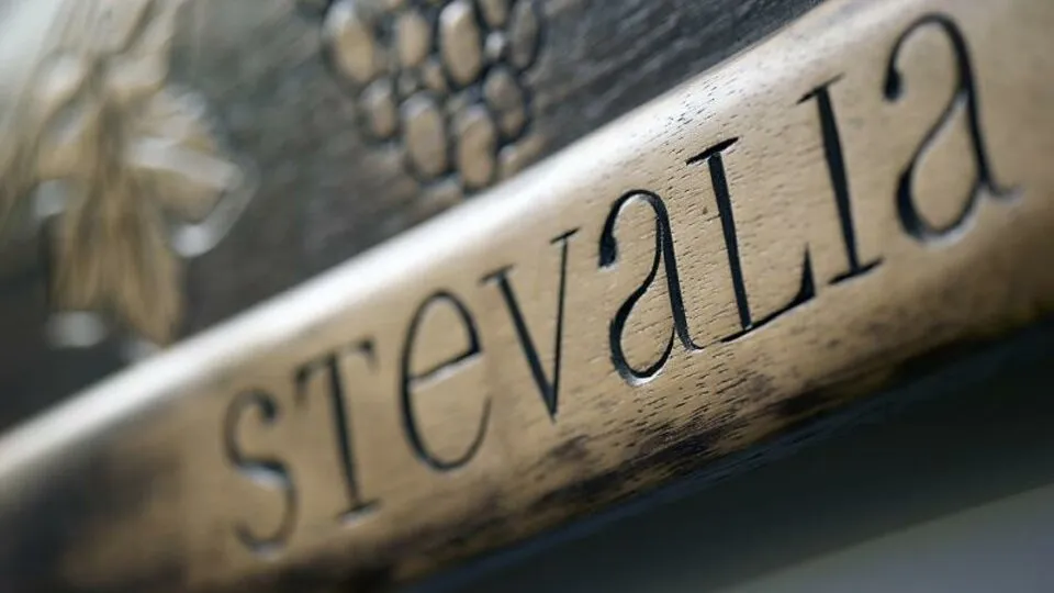 Stevalia Hotel & Spa, Katihori – Portarija, Grčka — fotografija 1