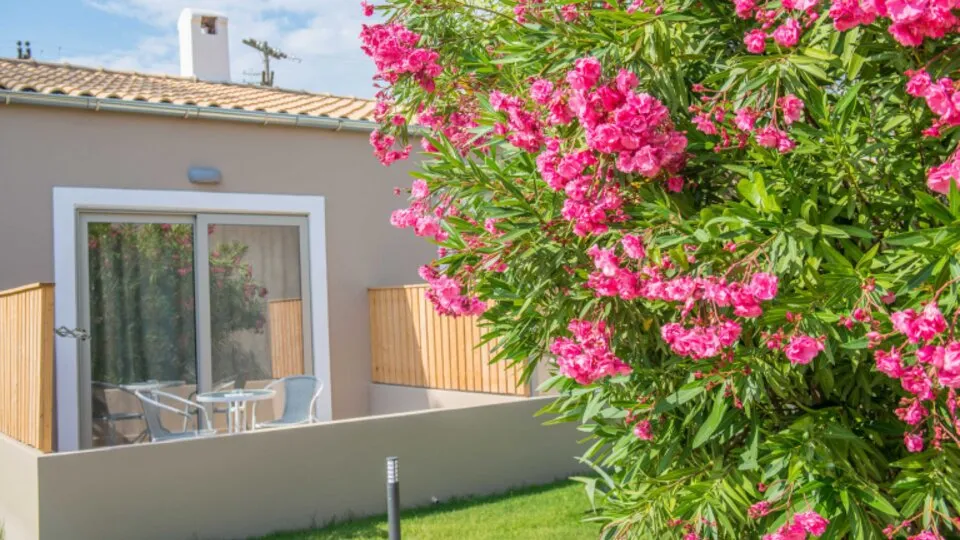 Ninos Amour Holiday Resort, Sidari, Grčka — fotografija 6