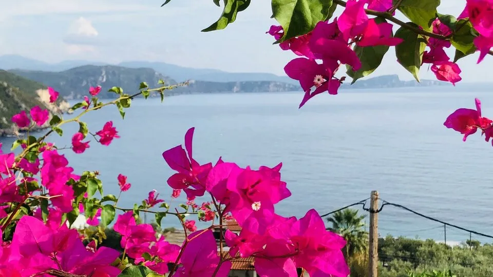 Spiros Studios, Lihnos, Parga, Grčka — fotografija 4