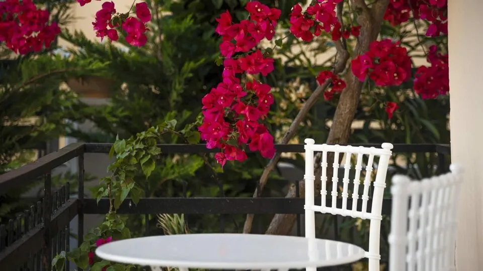 BOHOTEL Eleonas & Anex Apartments, Kavos, Grčka — fotografija 5