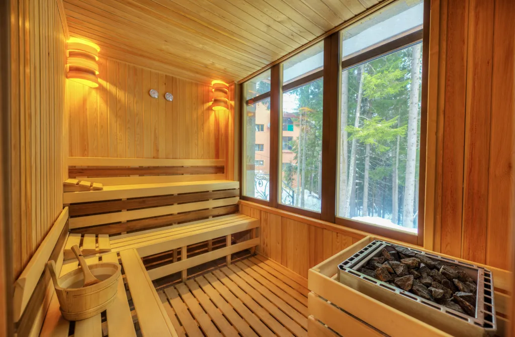 MPM Hotel Merryan, Pamporovo, Bugarska — fotografija 9