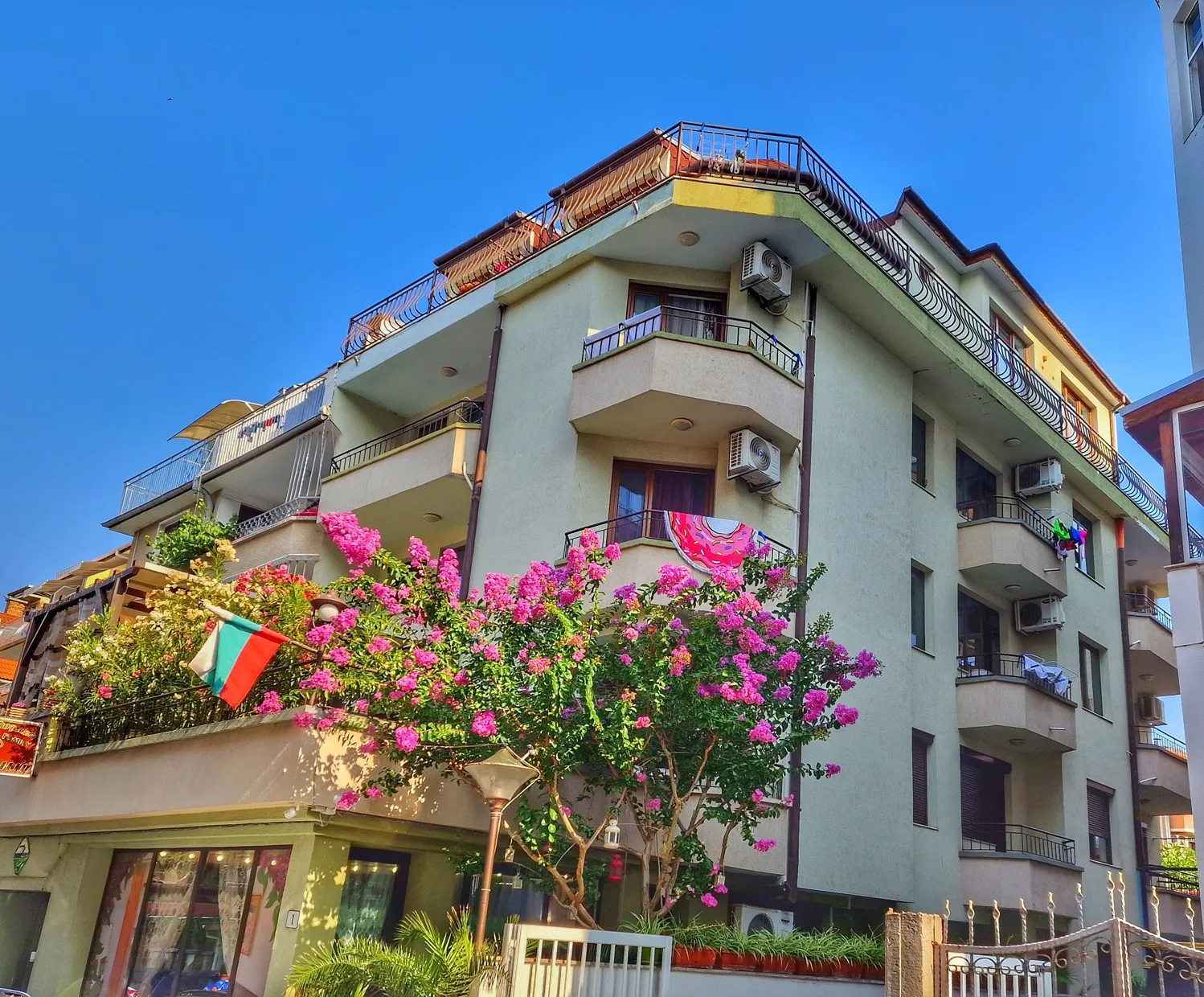 Vanini, Nesebar