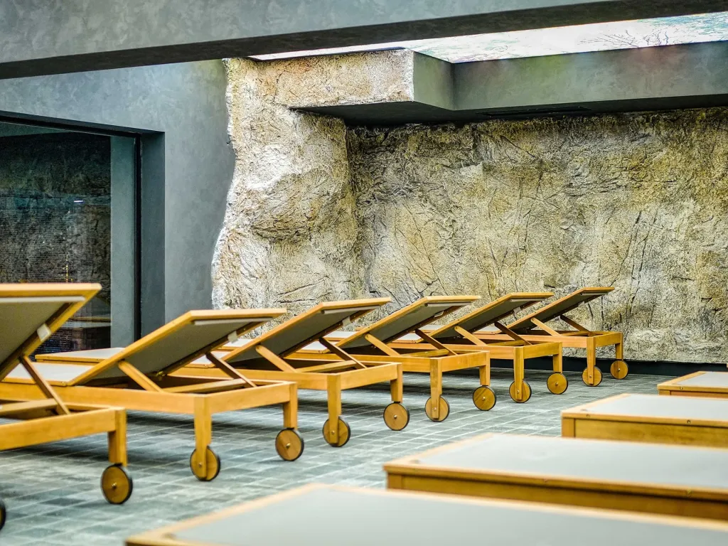 Premier Luxury Mountain Resort, Bugarska — fotografija 51
