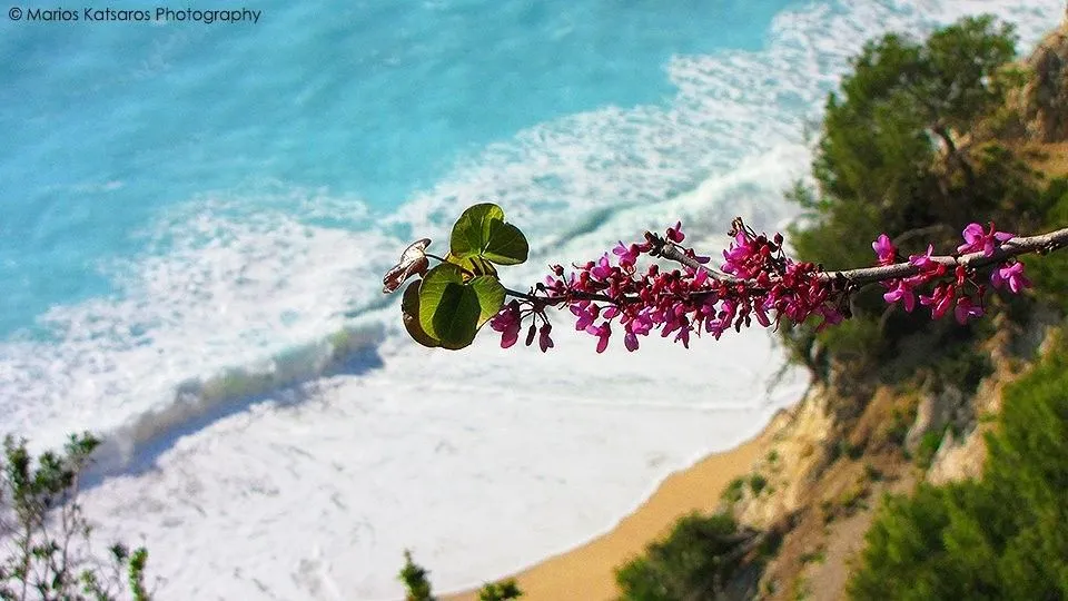 Grand Nefeli Hotel Lefkada, Vasiliki, Grčka — fotografija 48