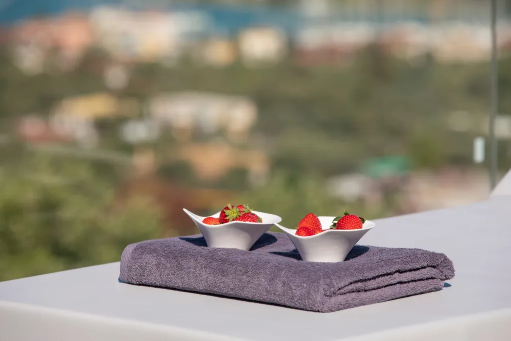 Pothos | Afroditi Villas Collection, Nidri, Grčka — fotografija 19