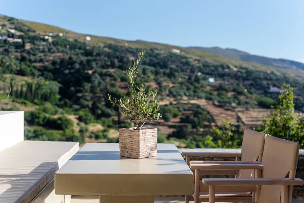 Casa Di Fiori Suites Andros, Grčka — smeštajna jedinica