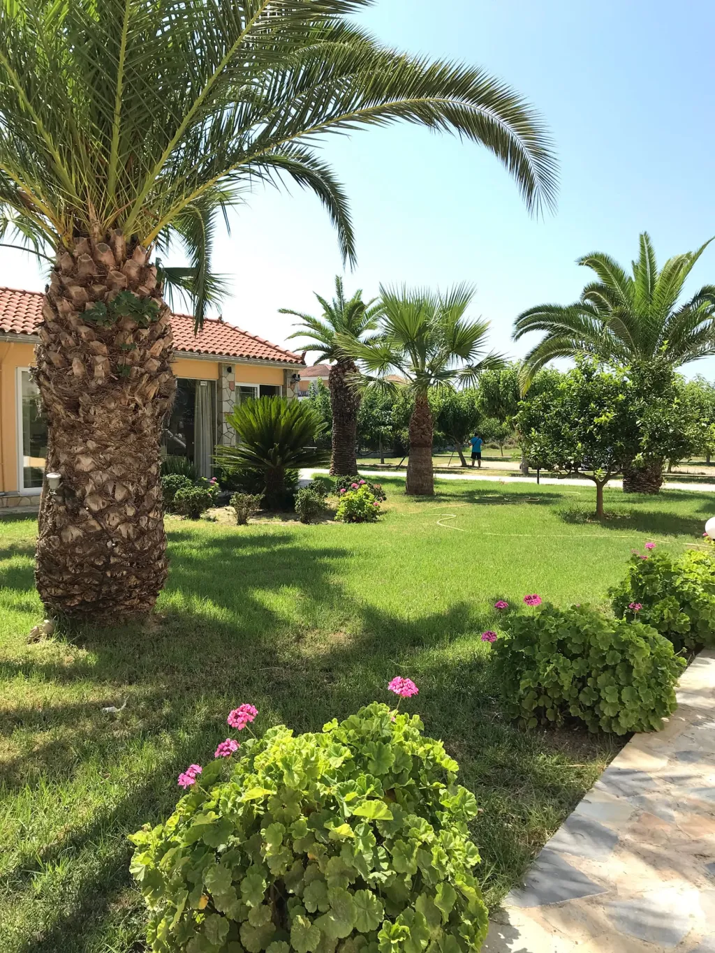 Village Inn Studios & Family Apartments, Agrilia, Grčka — smeštajna jedinica