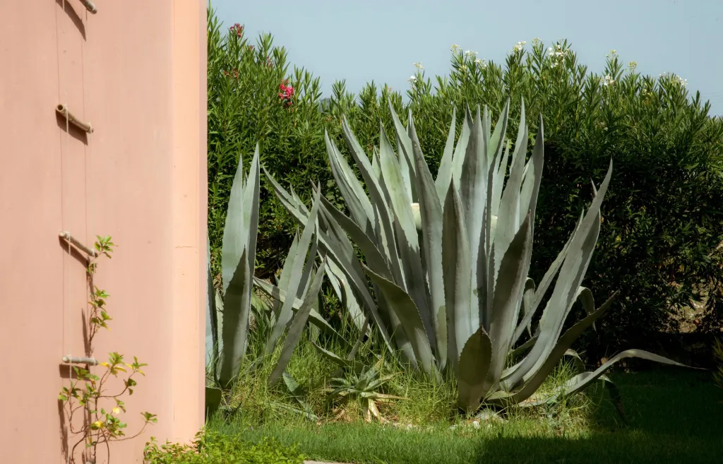 Zefyros Village Resort, Grčka — fotografija 28