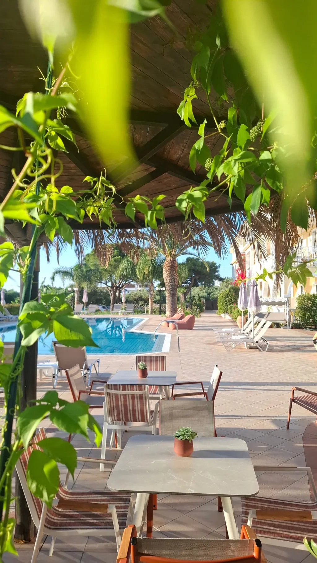 Sunflower Apartments & Studios Zakynthos, Laganas, Grčka — smeštajna jedinica