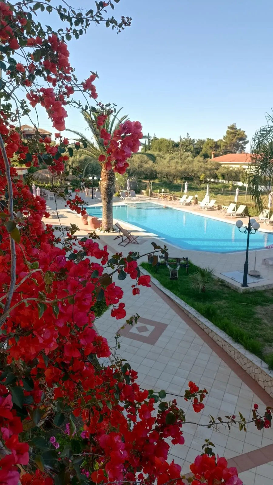 Sunflower Apartments & Studios Zakynthos, Laganas, Grčka — smeštajna jedinica