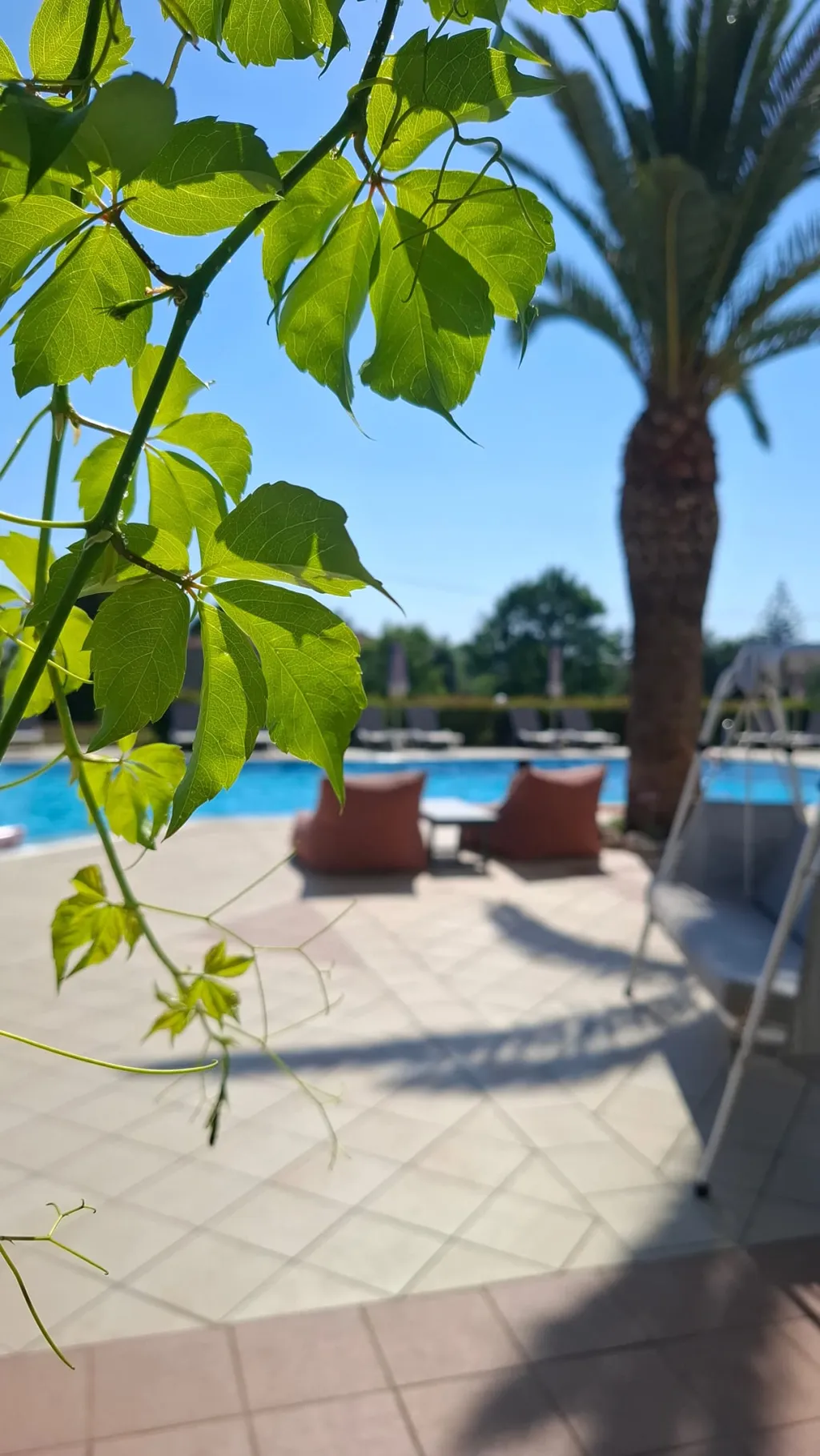Sunflower Apartments & Studios Zakynthos, Laganas, Grčka — smeštajna jedinica