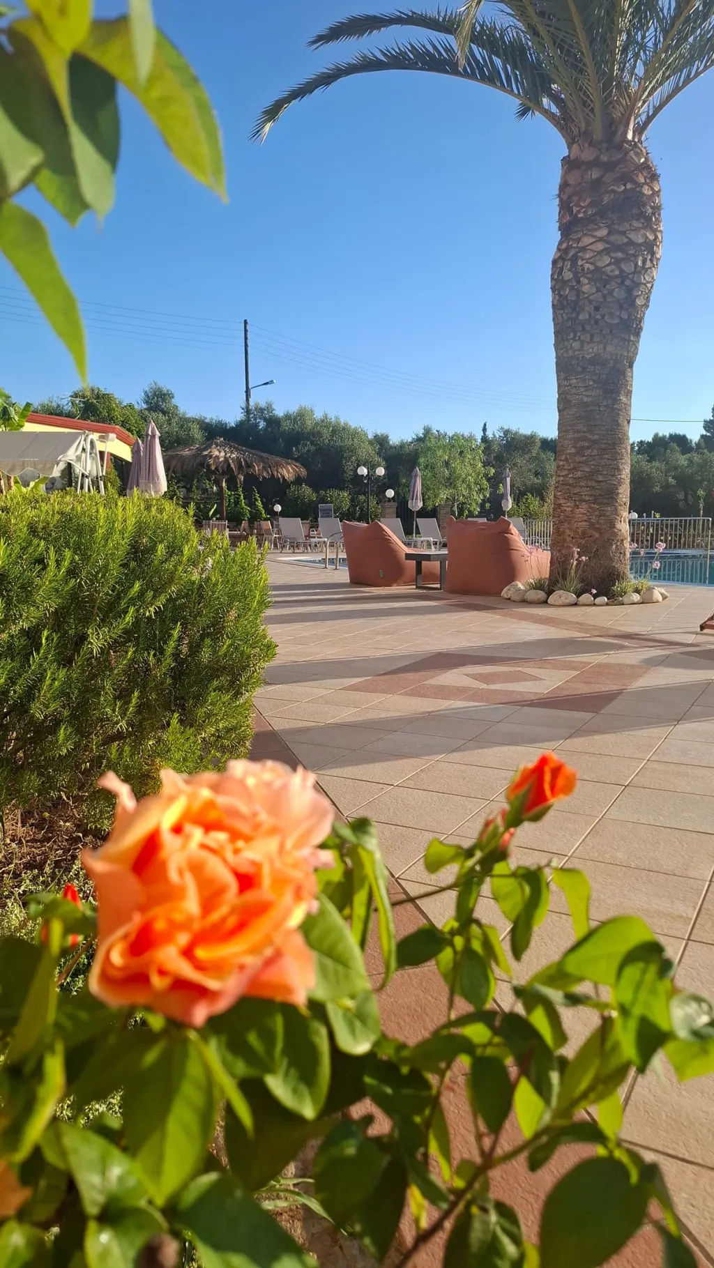 Sunflower Apartments & Studios Zakynthos, Laganas, Grčka — smeštajna jedinica