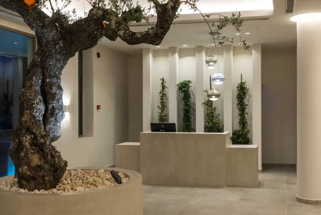 Tsamis Zante Suites, Planos, Grčka — smeštajna jedinica