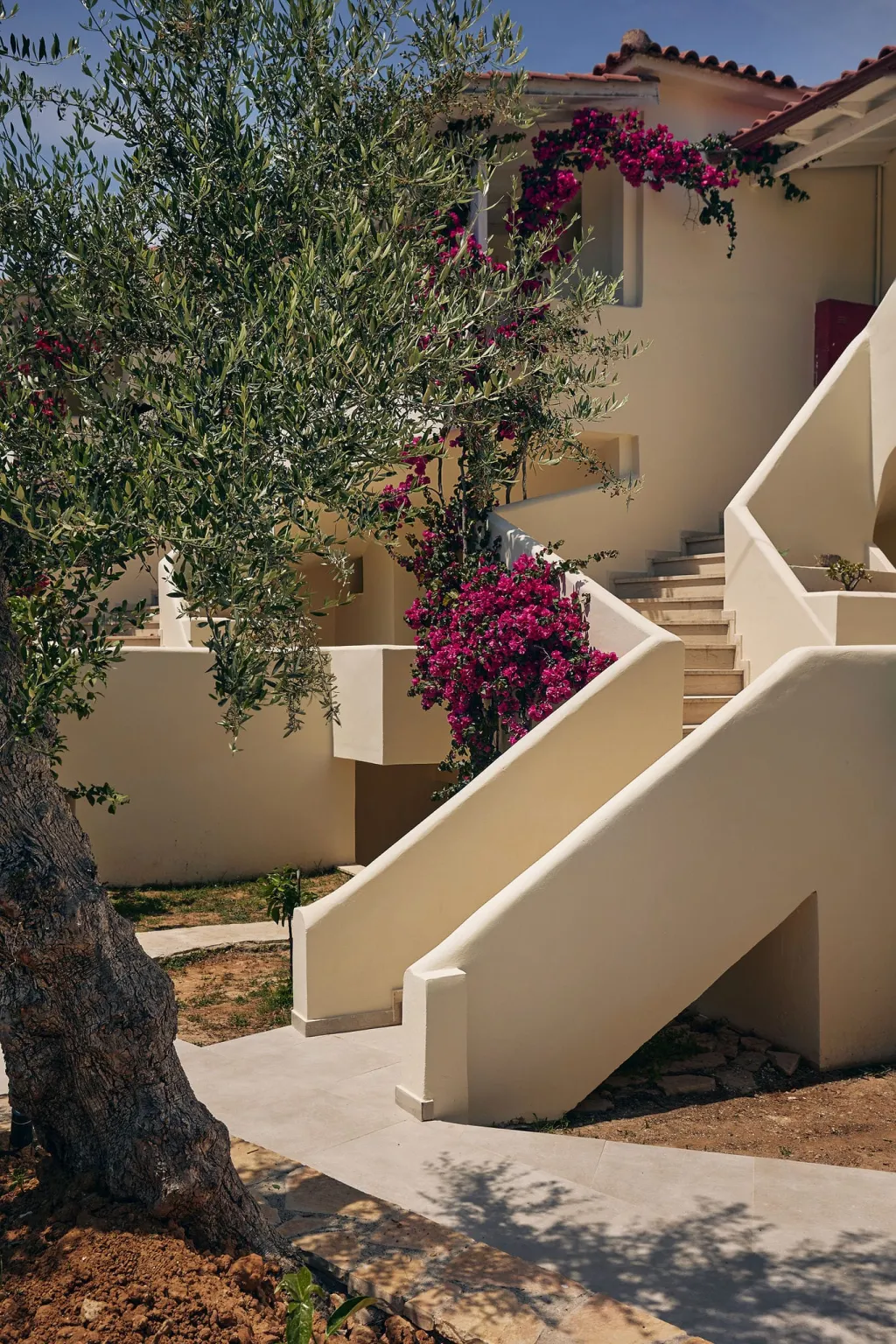Tsamis Zante Suites, Planos, Grčka — smeštajna jedinica