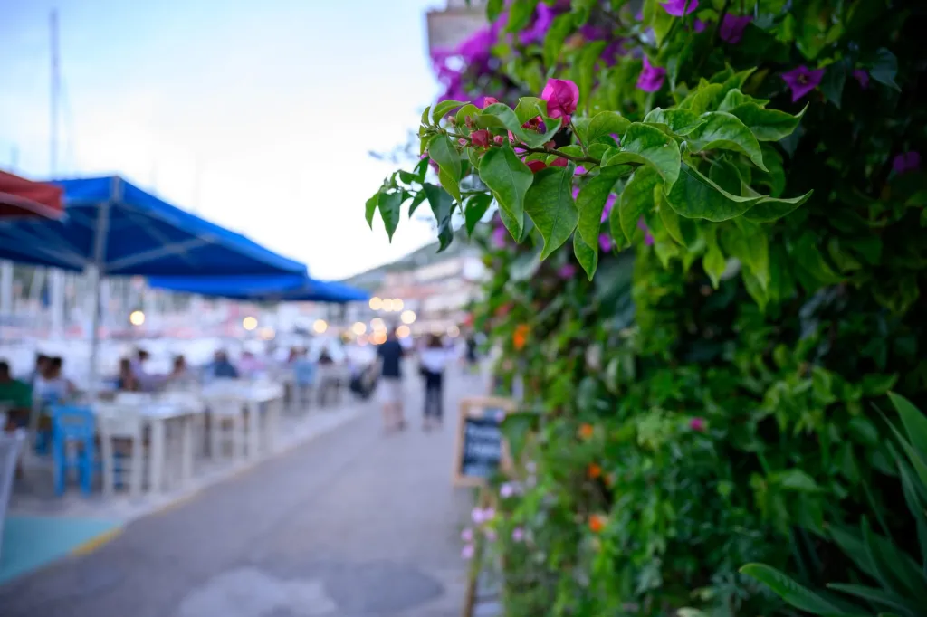 Elisso Hotel Lefkada, Vasiliki, Grčka — fotografija 28