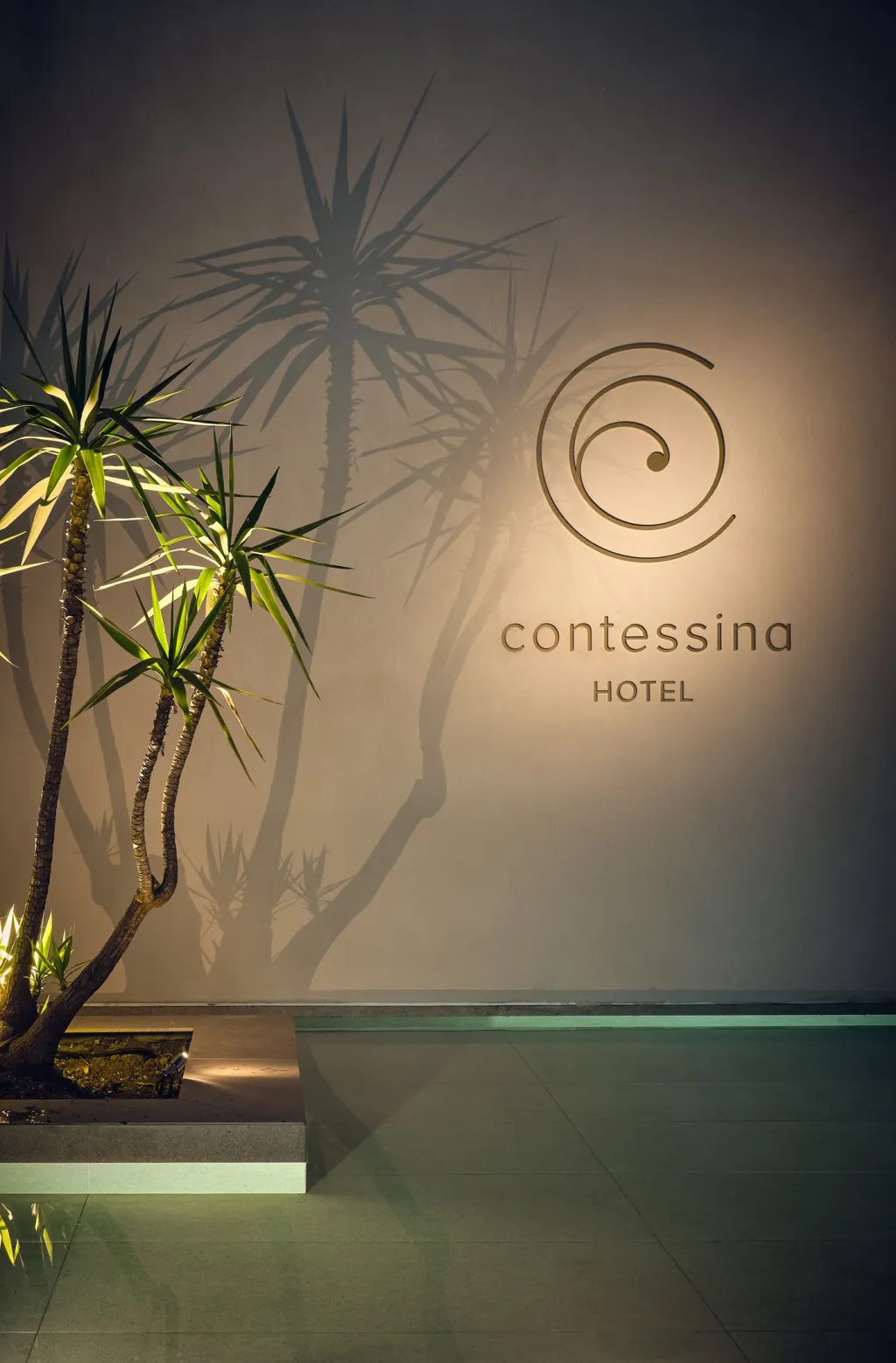 Contessina Hotel Zakynthos, Planos, Grčka — fotografija 15