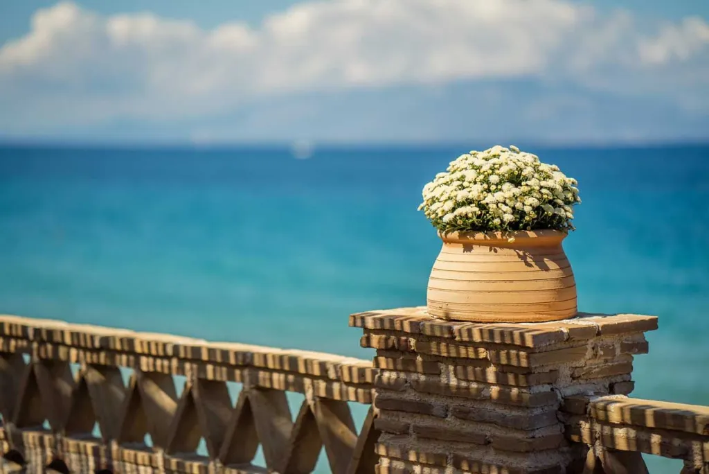 Porta Del Mar Zante, Alikes, Grčka — fotografija 6