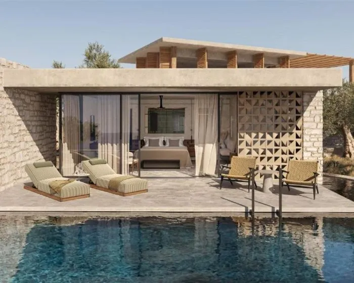 King Jason Zante – Designed for Adults, Planos