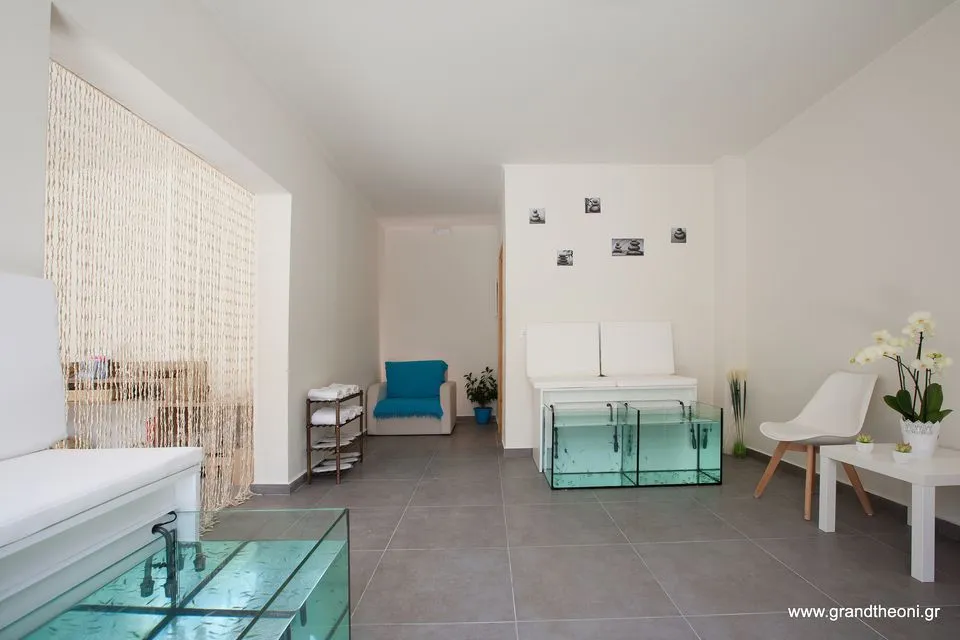 Grand TheoNi Hotel, Vasiliki, Grčka — fotografija 50