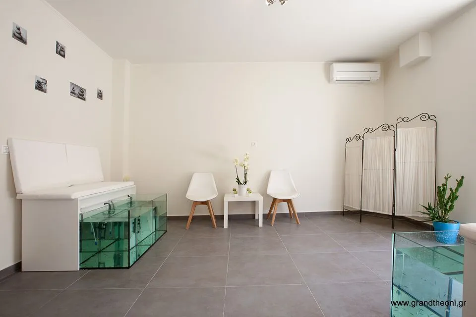 Grand TheoNi Hotel, Vasiliki, Grčka — fotografija 51