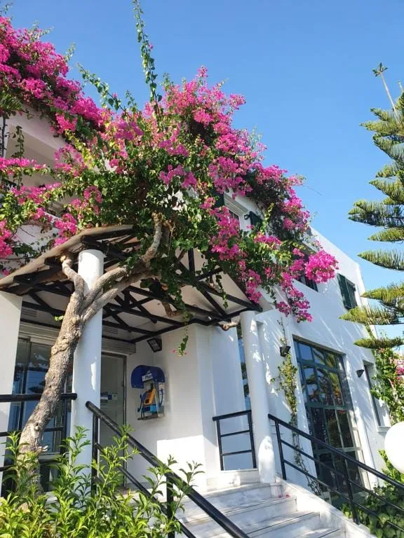 Oscar Hotel Zante, Agrilia, Grčka — fotografija 16