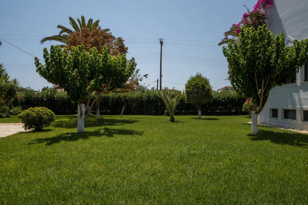 Oscar Hotel Zante, Agrilia, Grčka — fotografija 20