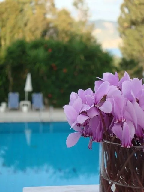 Castelli Hotel Zante, Laganas, Grčka — fotografija 4
