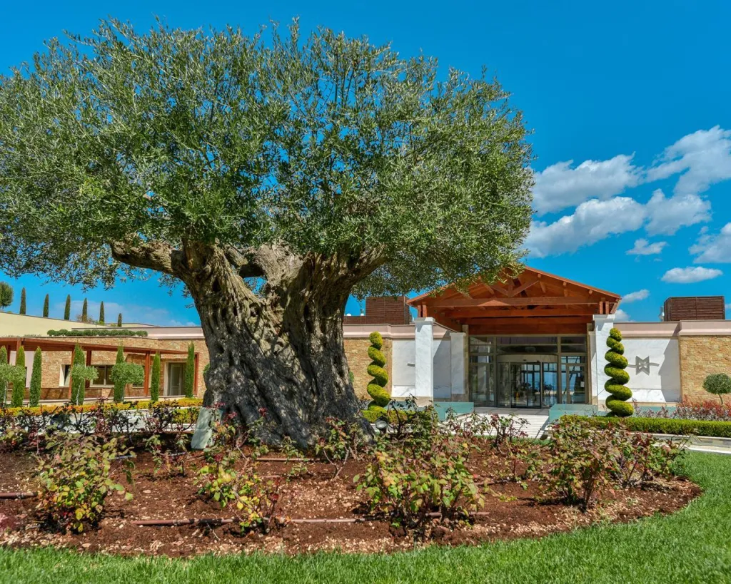 Miraggio Thermal Spa Resort, Paljuri, Grčka — spa i wellness