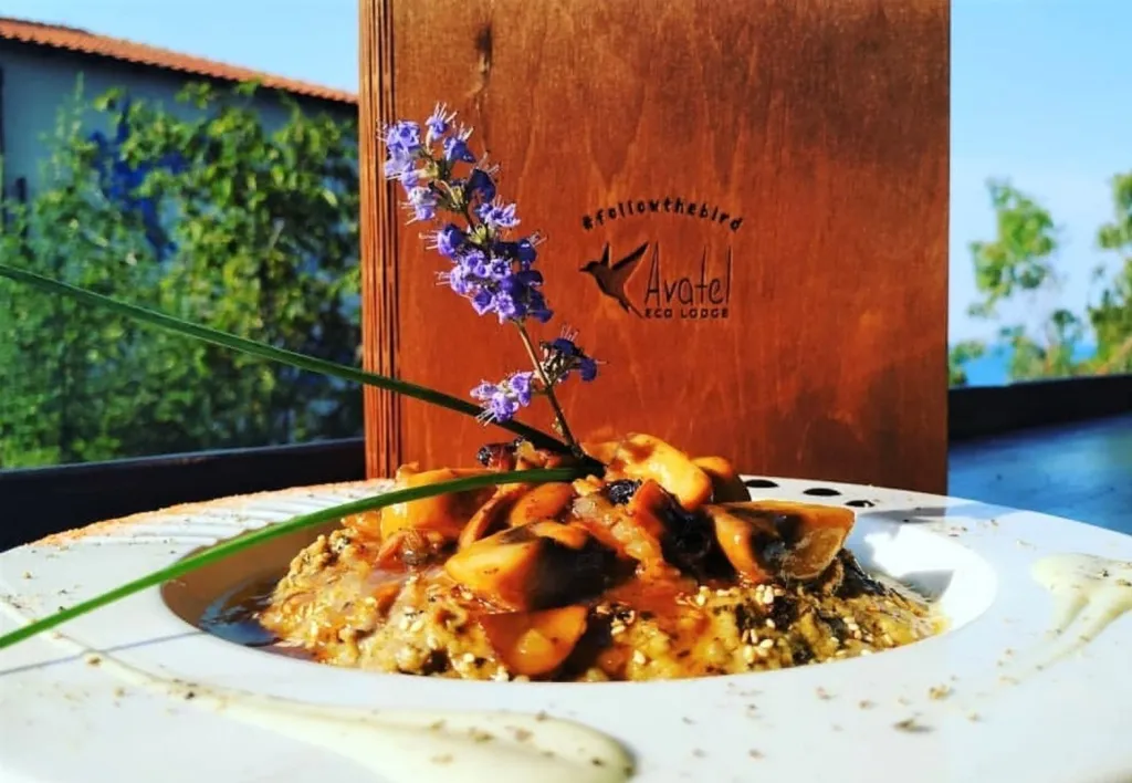 Avatel Eco Lodge, Kriopigi, Grčka — fotografija 7