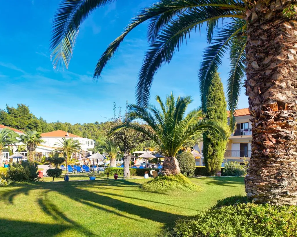 Chrousso Village Hotel, Paljuri, Grčka — fotografija 15