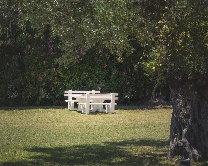 Julia Hotel Chalkidiki, Skala Furka, Grčka — fotografija 6
