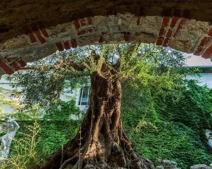 Kriopigi Hotel, Kriopigi, Grčka — fotografija 36